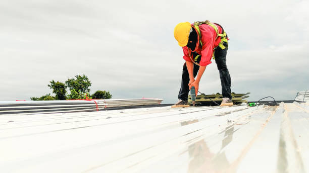 Best Cold Roofs  in Cobb Island, MD