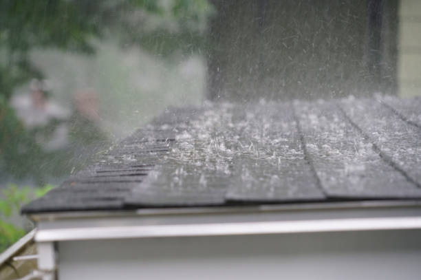 Best Metal Roofing Installation  in Cobb Island, MD